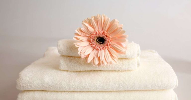 Best Bath Towels